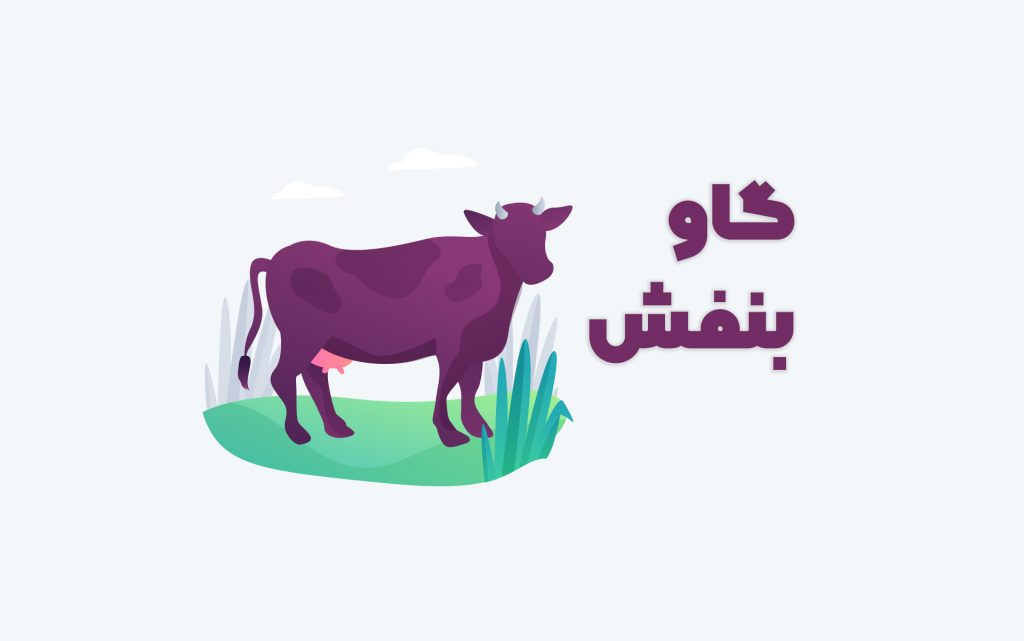 گاو بنفش