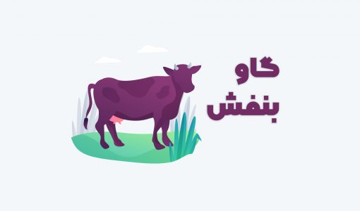 گاو بنفش