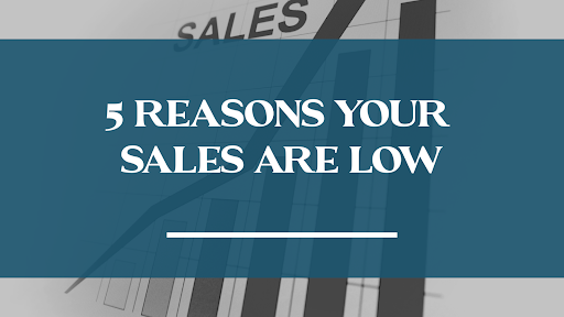 5reason for low sales